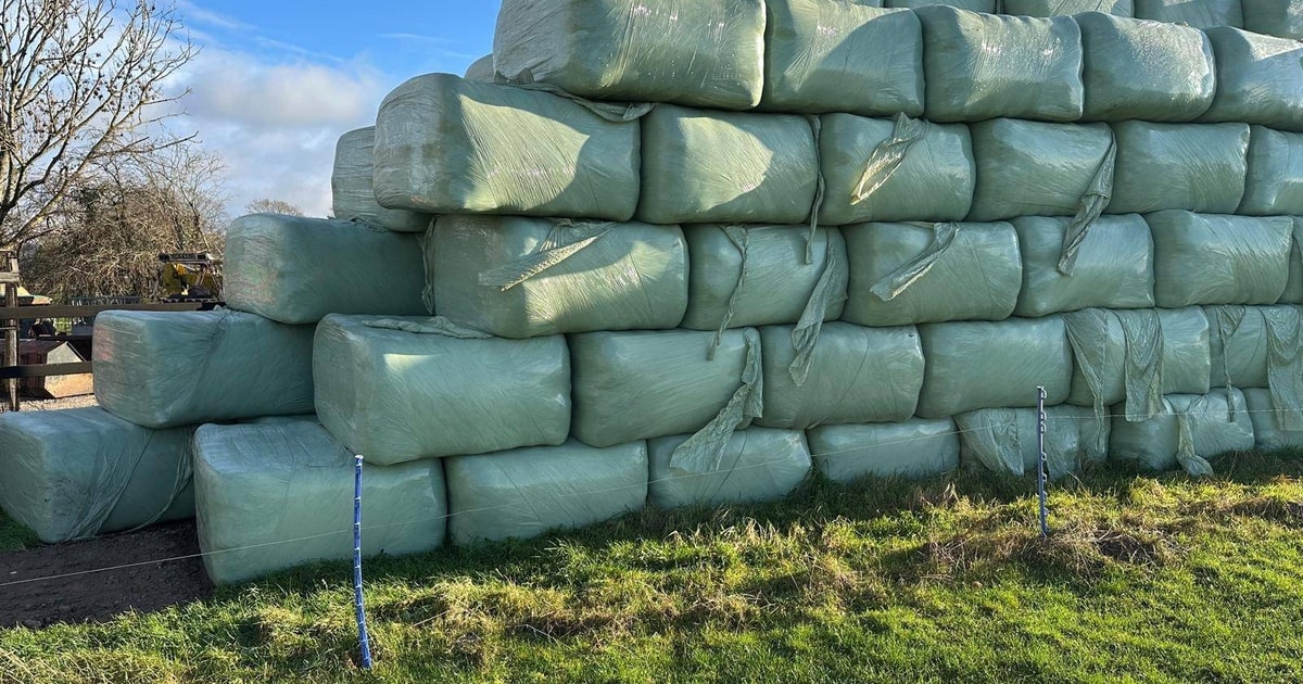 50 Bales Haylage | SellMyLivestock - The Online Livestock Marketplace