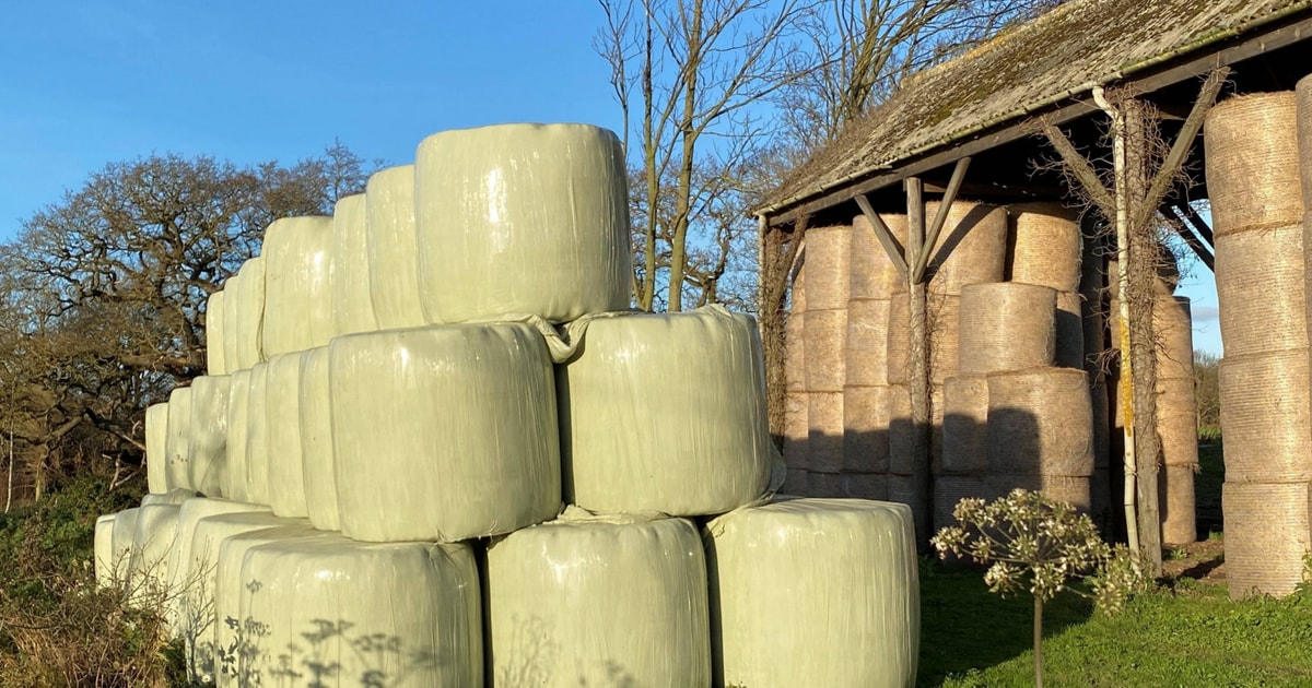 44 Bales Hay (Wrapped) | SellMyLivestock - The Online Livestock Marketplace