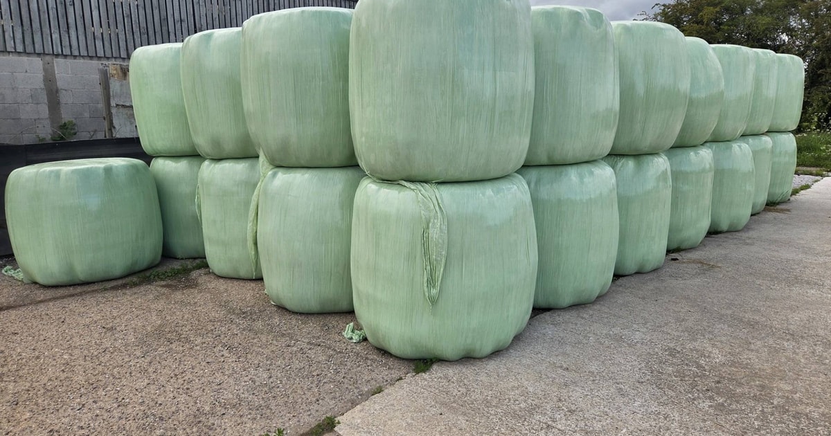 56 Bales Hay (Wrapped) | SellMyLivestock - The Online Livestock Marketplace