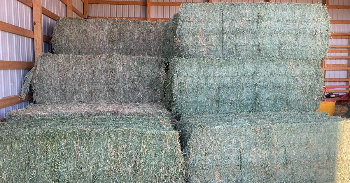 72 Bales Baled Straw (Barley) | SellMyLivestock - The Online Livestock ...