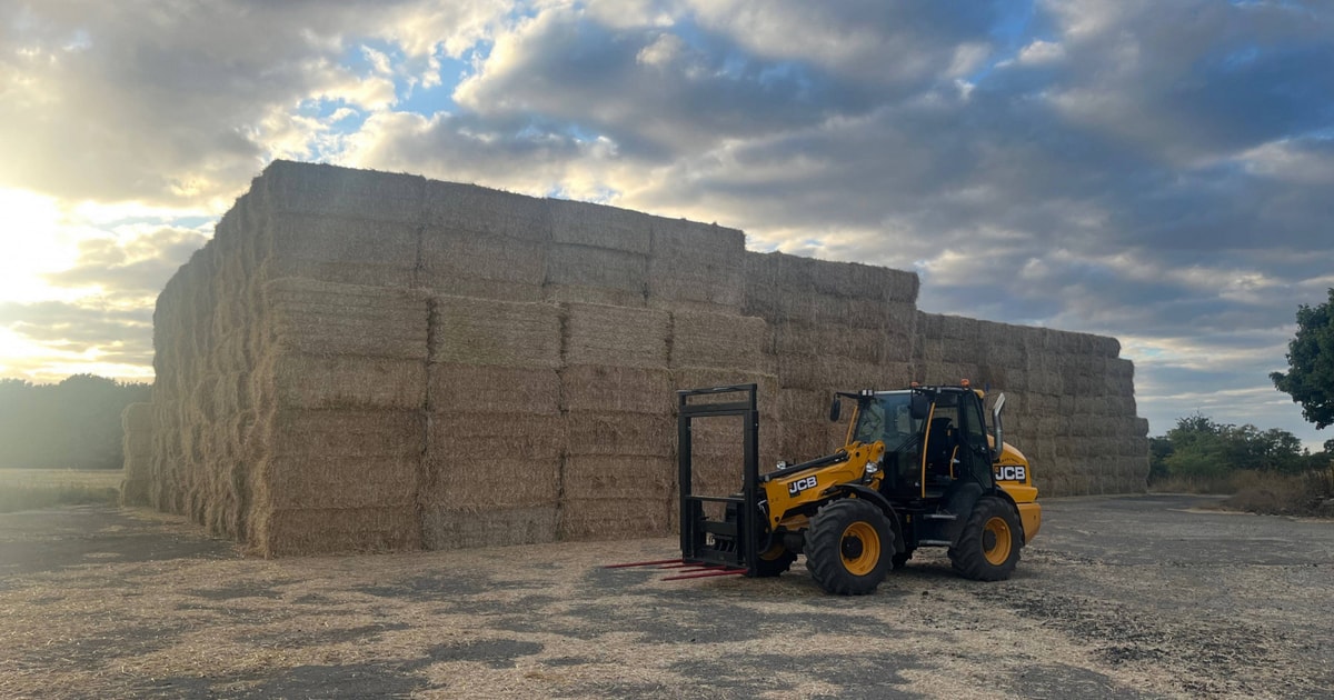 700 Bales Baled Straw (Wheat) | SellMyLivestock - The Online Livestock ...