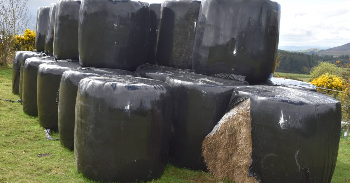 37 Bales Haylage | SellMyLivestock - The Online Livestock Marketplace
