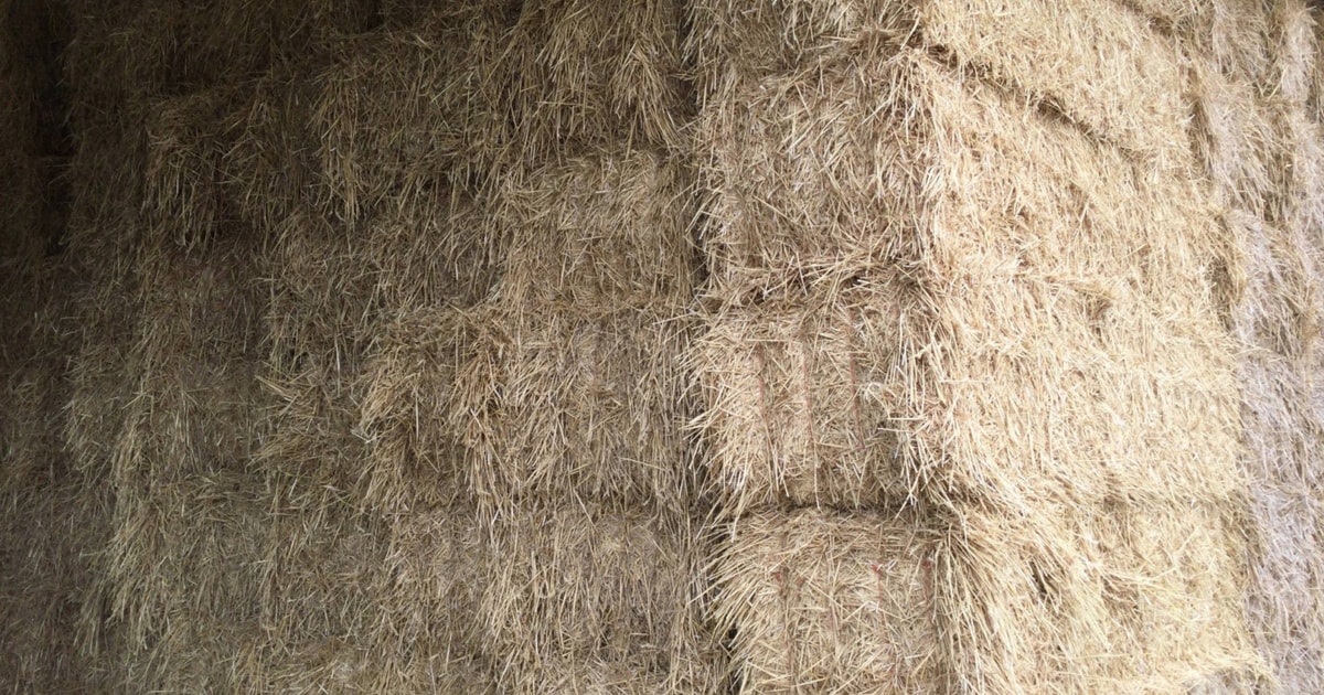 100 Bales Baled Straw (Wheat) | SellMyLivestock - The Online Livestock ...