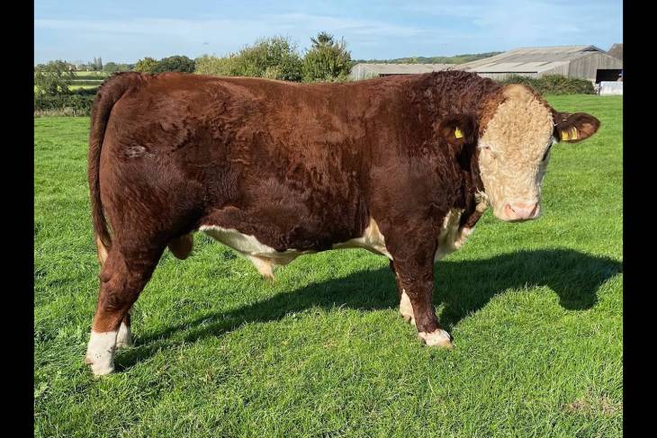 https://sml-assets.com/hec-images/hc_5BB04D00-C692-4902-B0B8-D9973234F8A3
