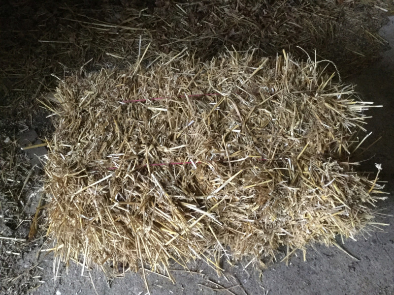 200 Baled Straw (Wheat) SellMyLivestock