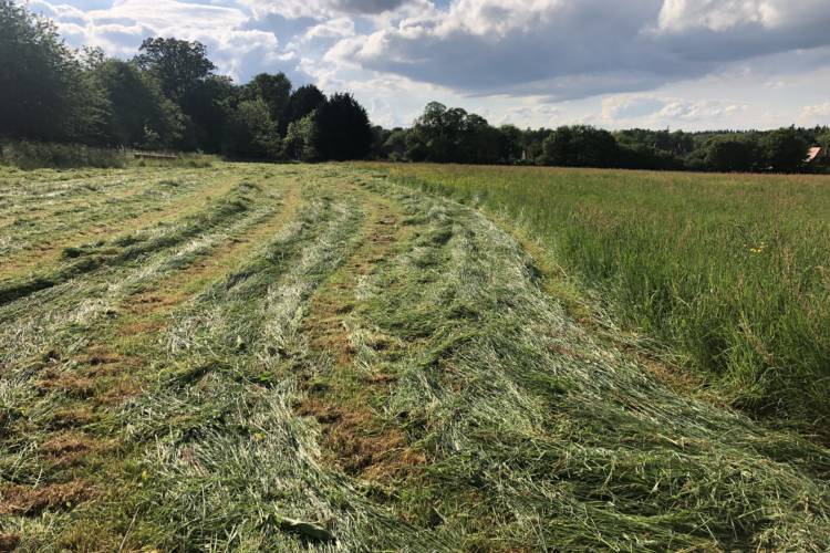 150 Grass Silage - SellMyLivestock