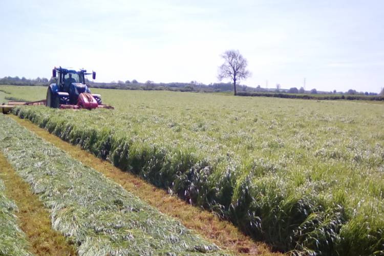 40 Grass Silage SellMyLivestock